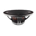 Audio professionnel 12 pouces woofer